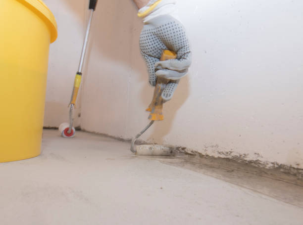 Emergency Pest Control Services in Breese, IL